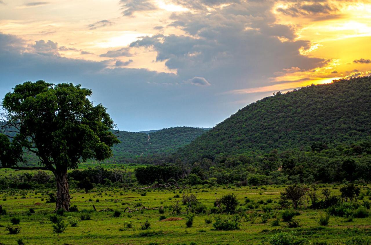 Laluka Safari Lodge - Заповедник Велгевонден Экстерьер фото